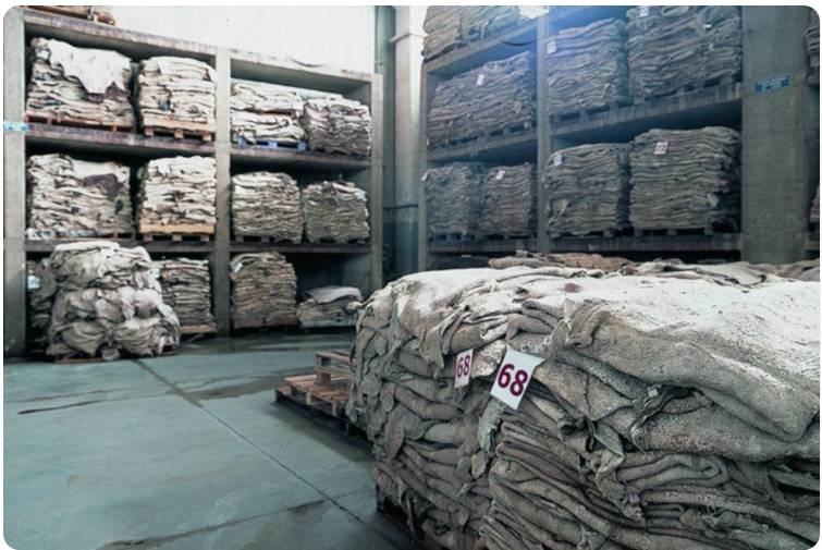 Raw hide quality inspection