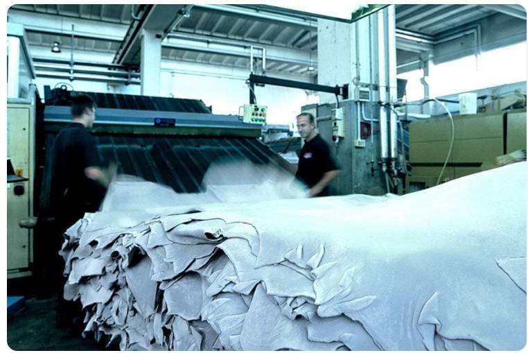 Blue wet hide grading and classification